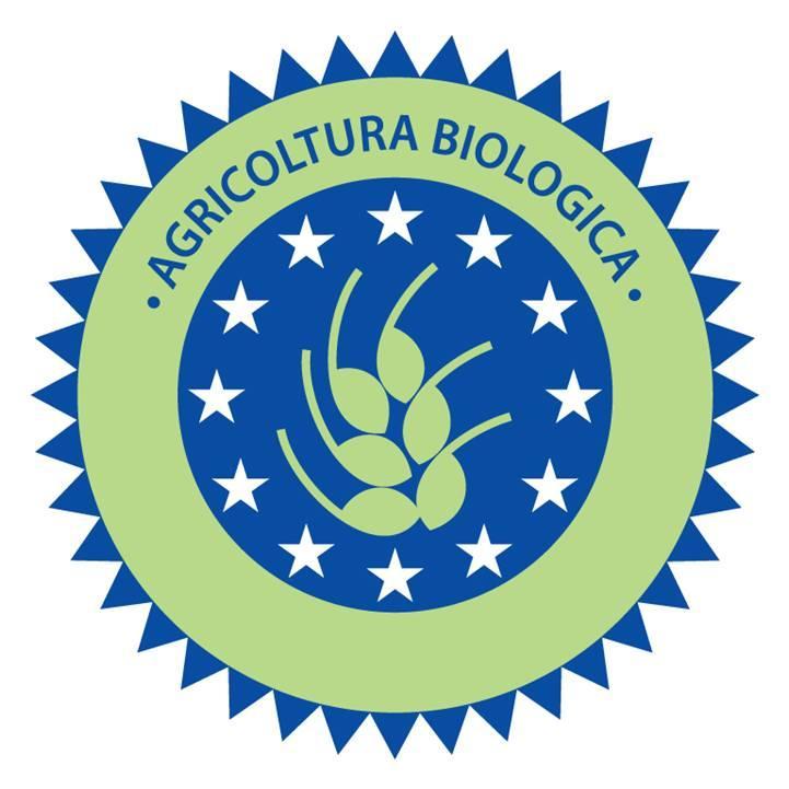 曼恰诺Fattoria Poggio Foco别墅 外观 照片