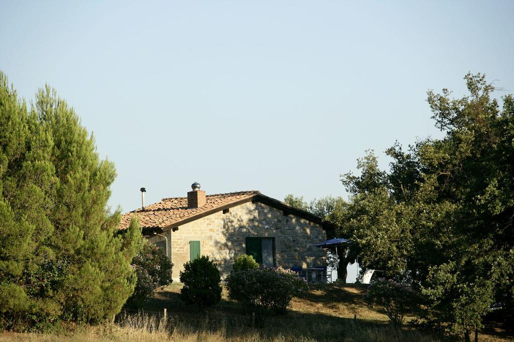 曼恰诺Fattoria Poggio Foco别墅 客房 照片