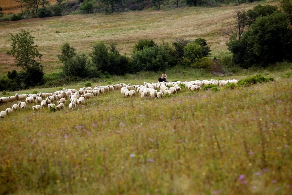 曼恰诺Fattoria Poggio Foco别墅 外观 照片
