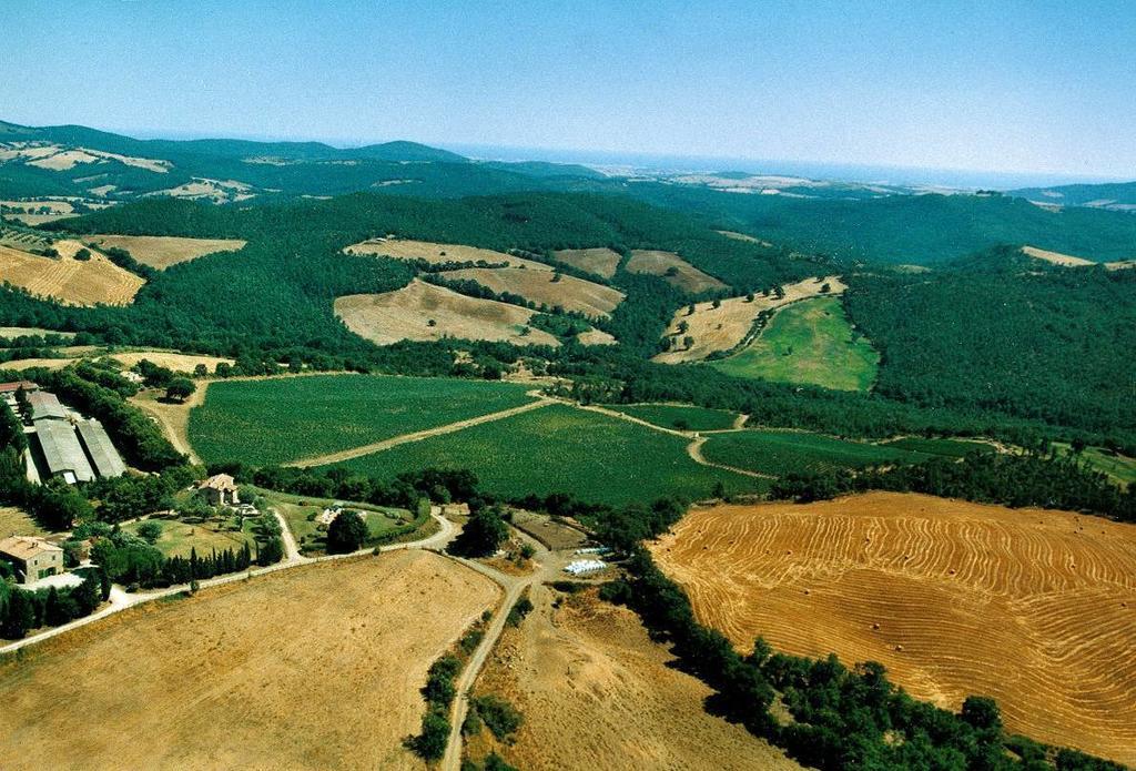 曼恰诺Fattoria Poggio Foco别墅 外观 照片
