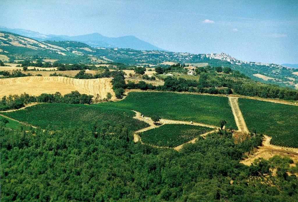 曼恰诺Fattoria Poggio Foco别墅 外观 照片