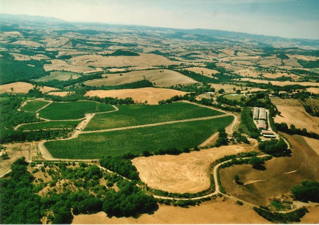 曼恰诺Fattoria Poggio Foco别墅 外观 照片