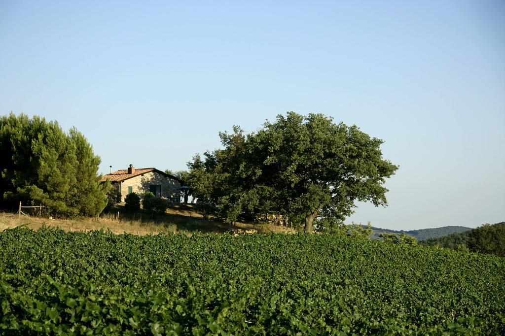 曼恰诺Fattoria Poggio Foco别墅 客房 照片